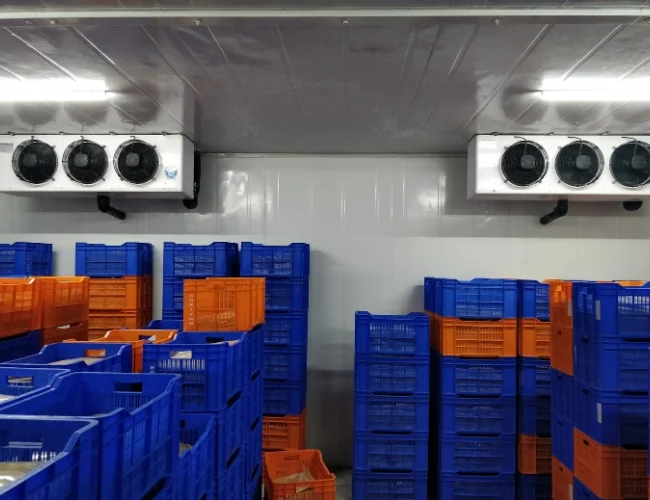 Cold Room 1