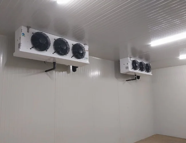 Cold Room Condenser Unit1 1